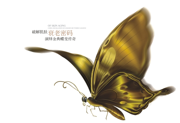 金色蝴蝶高端素材海报图片