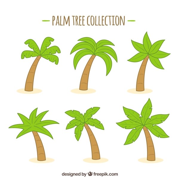 一包手棕榈树