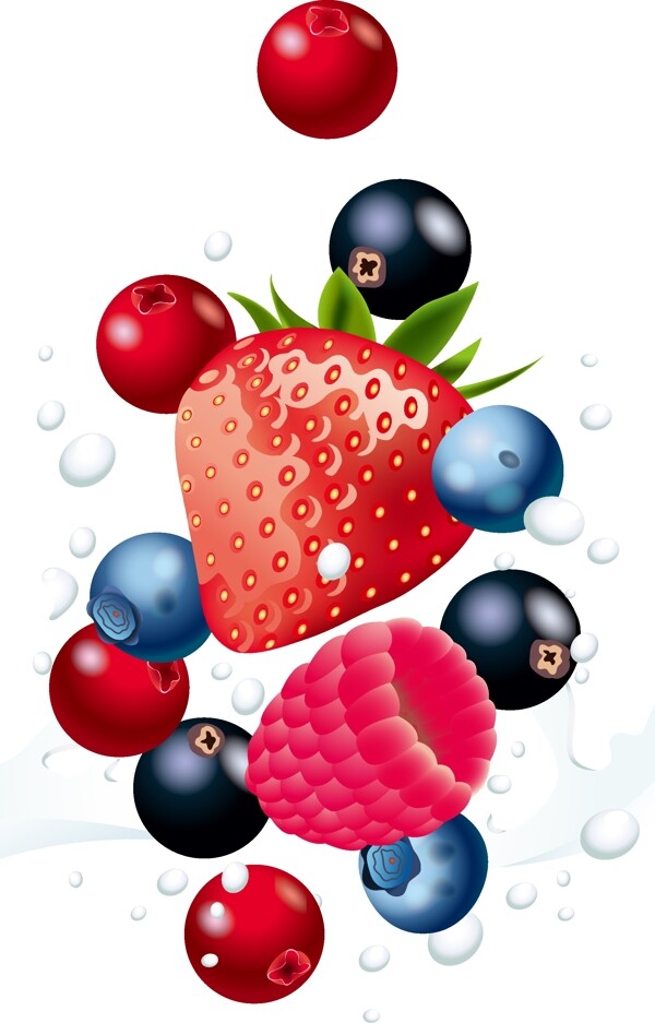 新鲜营养水果草莓蓝莓矢量图