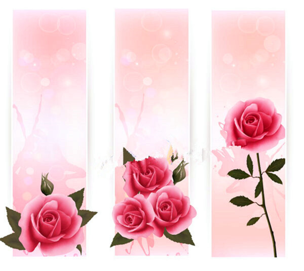 玫瑰花装饰横幅矢量模板