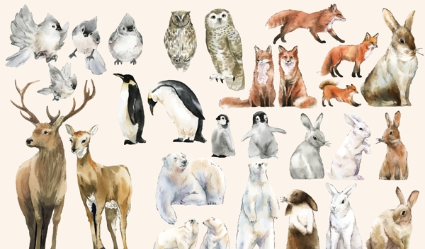 野生动物插图图片