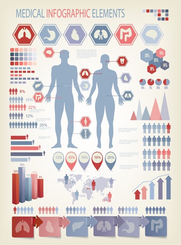 人体解剖信息图表图片