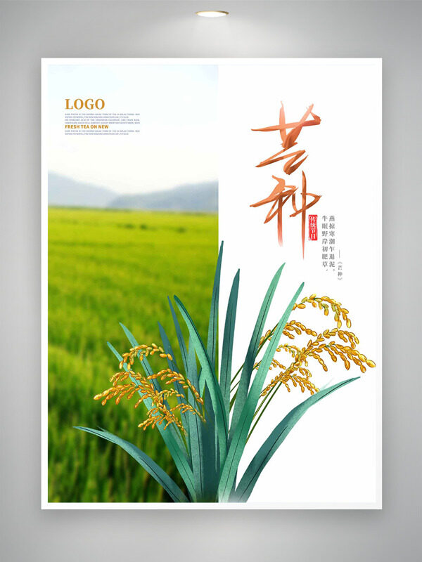 绿色麦田背景中国传统节气芒种海报