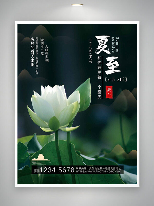 二十四节气夏至简约白色荷花海报