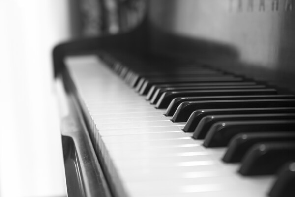 钢琴黑白琴键