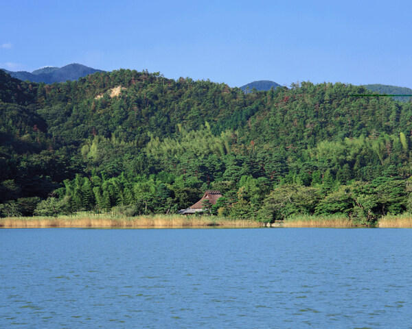 树植物水风景山