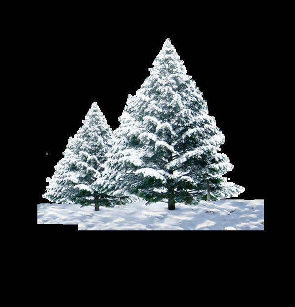 雪枝圣诞树元素图