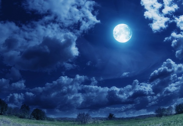 月圆之夜图片