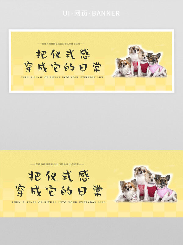 简约纯色背景可爱宠物日常网页界面