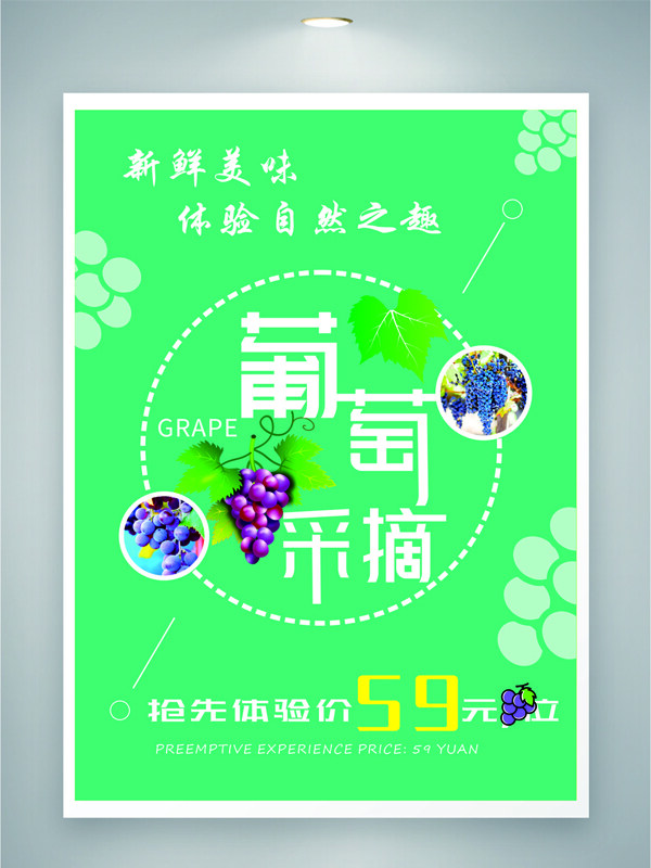绿色主题新鲜葡萄采摘活动体验海报