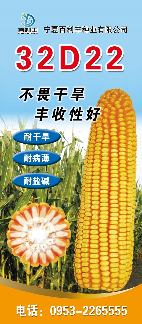玉米种子展架