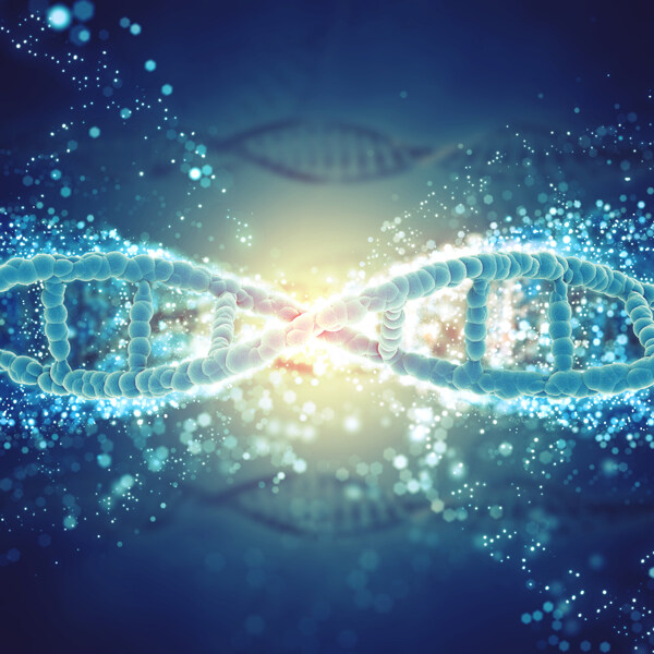 基因遗传DNA