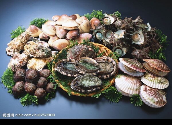 蚌类海鲜大杂汇图片