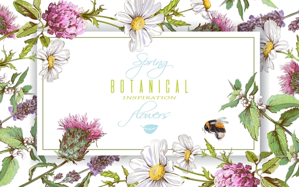 彩绘春季花卉和蜜蜂框架矢量素材