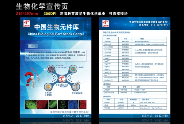 生物化学医药公司单页