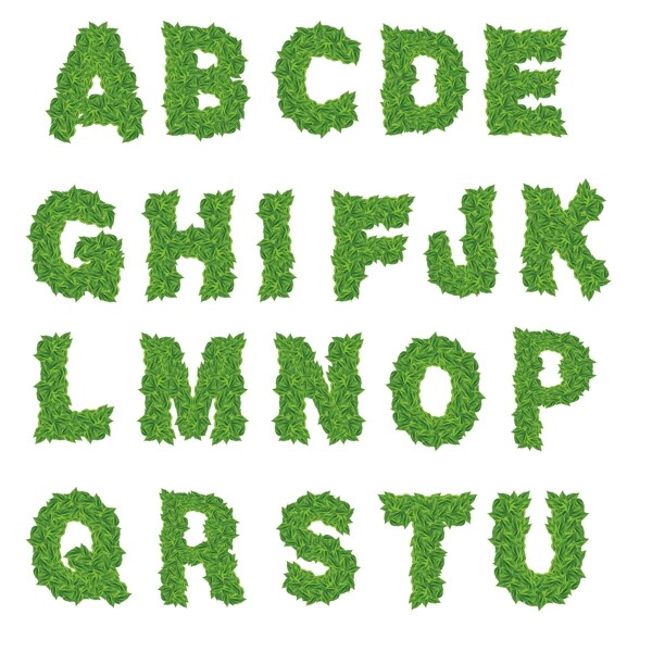 树叶字母图片