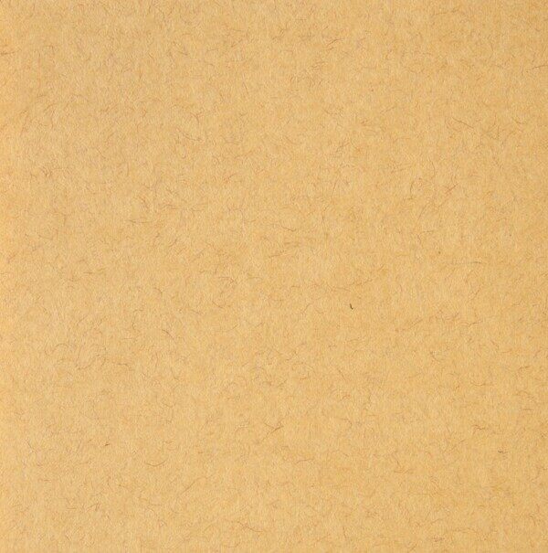 黄棕交错清冷中见繁复之美牛皮纸张纹理