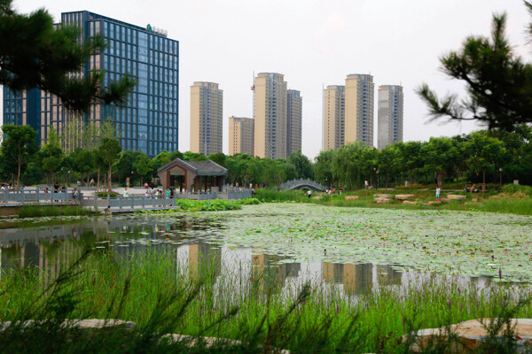 郑州南环公园景观图片