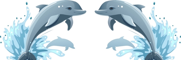 跳跃的海豚矢量图