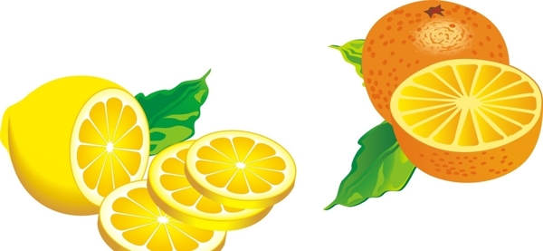 柠檬片橙子