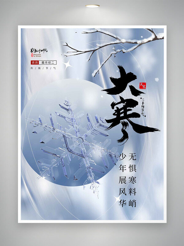 少年展风华无惧寒料峭大寒节气创意主题海报