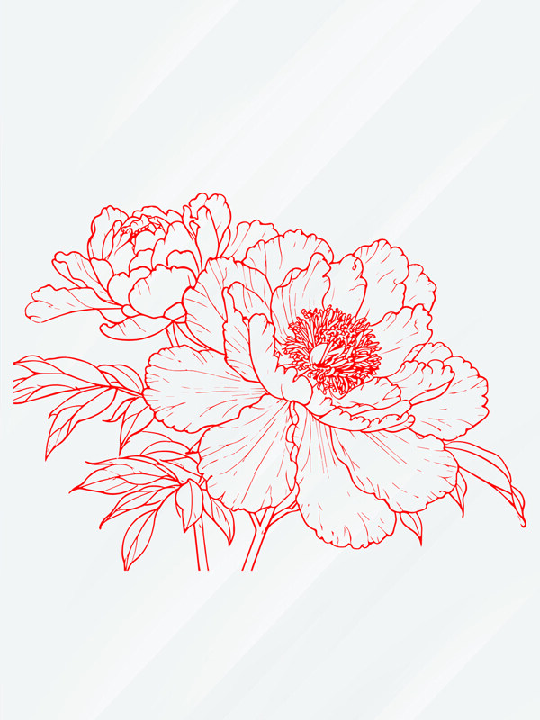 简约手绘红线条牡丹花卉