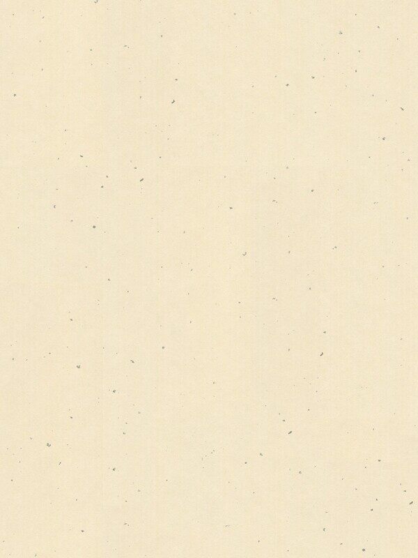 经典米黄色宣纸淡斑纹理提升字韵设计