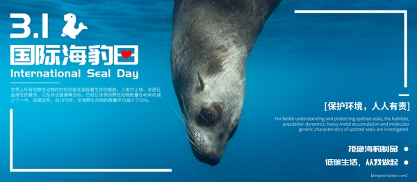 蓝色时尚国际海豹日宣传展板
