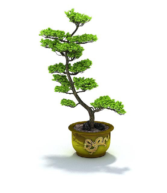 室内精美植物盆栽3d模型