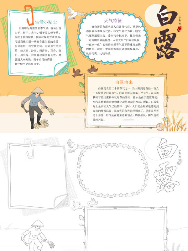 小清新白露白露节气手抄报