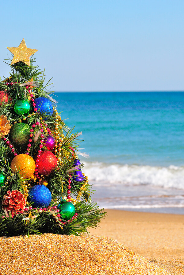 沙滩上的圣诞树图片