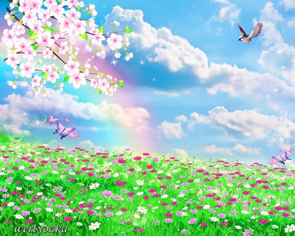 春天的彩虹图片
