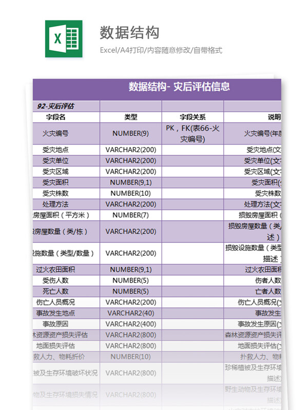 数据结构灾后评估信息excel模板