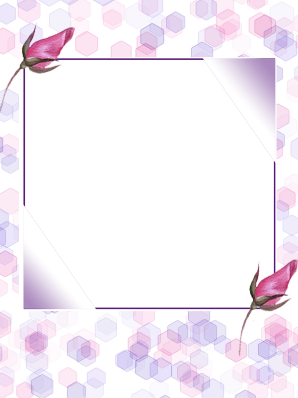 紫色花朵背景边框