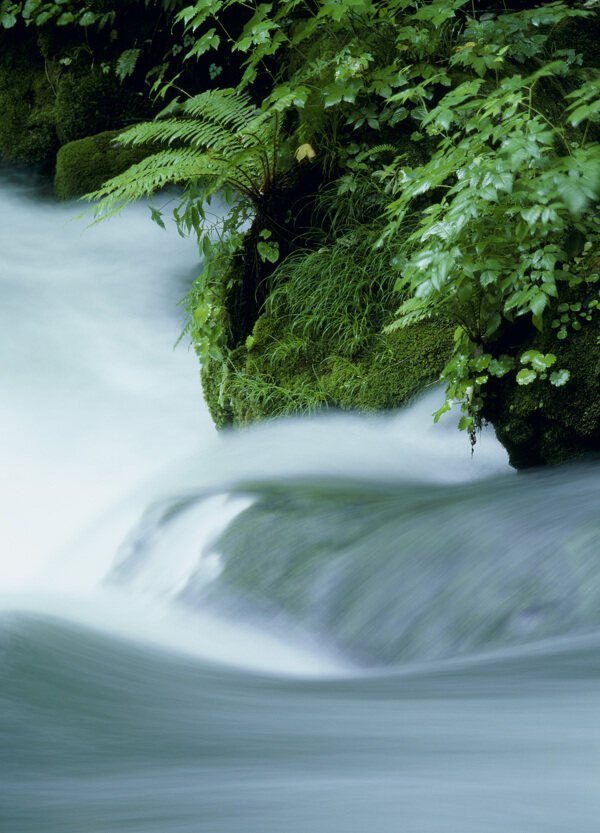 绿树河流瀑布图片