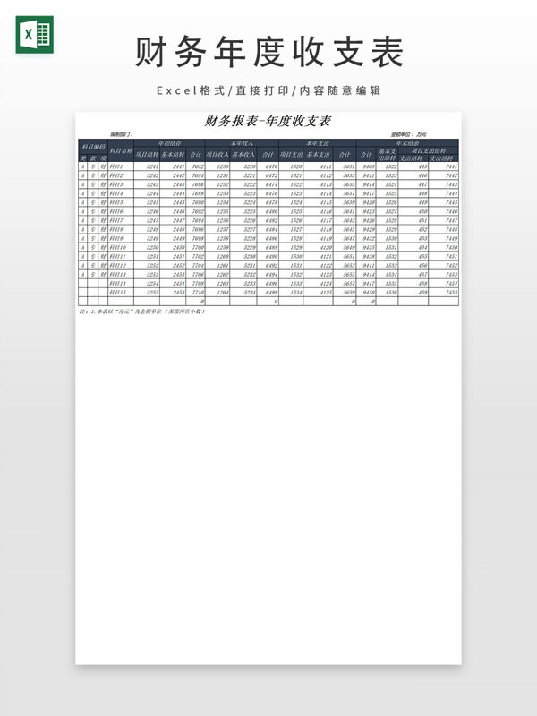 财务年度收支表